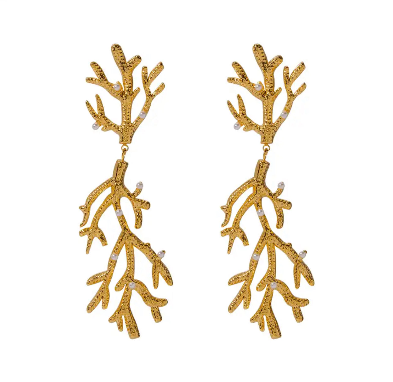 Coral Largo