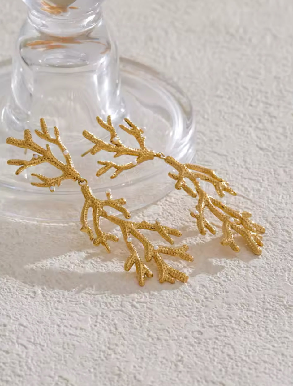 Coral Largo