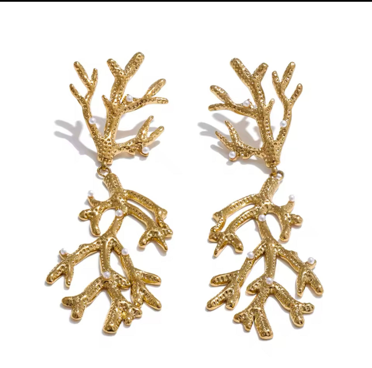 Coral Largo