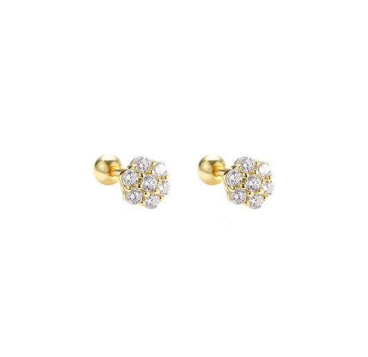 Piercings Ramitos de Cristal